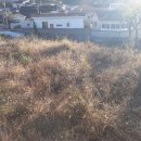 명법2통 이미지