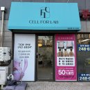 울산 셀포랩 울산 북구 다이어트 | 누워서 받는 다이어트 관리 후기