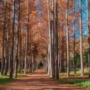 새 날의 노래-153- 이미지