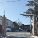 금성마트 | #331 평택 PX 후기 / 국군복지단 금성마트 가격 실화? 화장품, 식품 인터넷보다 싼 가격 / 이용 방법...