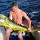 참치랑가재랑 이미지