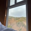 무주반딧불장터 공중화장실 | 무주 향로산 자연휴양림 '밤나무집' 방문기: 나랑 별 보러 가지않을래? 별 쏟아지는 숲속 하룻밤의 기록