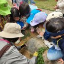 숲생태유치원 이미지