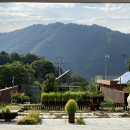 인제농장 이미지