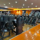 Best 휘트니스 센타 | 💪군산 헬스장 추천 어디가 좋을까? BEST 운동하기 좋은 곳 #나운동#시드니휘트니스