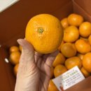 유현농장 이미지