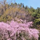 2호선 동백역 4번출구 이미지