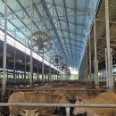 가율축산 이미지