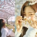 리리스튜디오 이미지