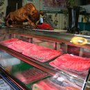 갈산식당 이미지