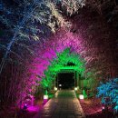 가야금(야간) 이미지