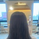 도안남로 이미지