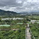 소수농장 이미지