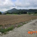 신안 교차로 ~ 해남터널 이미지