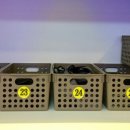 K스크린골프 이미지