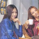 비비B.B