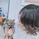 코아루 황태 이미지