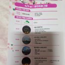 은평터널로 | [실시간] 2026 불광천 벚꽃축제 박정현 직관 후기! 은평의 봄 폼 미쳤다..🌸