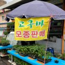 성연상회