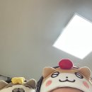 [2023.08] 고민 하나 없이 퍼져 있는 계란 fry 같이