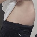 안정 힐링 노래타운 노래연습장 | 임신일기] 예비말띠맘 조기진통 병가 눕눕 처방, 임신 중기 정밀초음파, 눕눕하고 요양하는 힐링 한 주