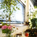 카페브런치(오후) 이미지