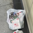 굿파파스 | [파파존스 신상 크루아상 엣지] 파파존스 수퍼파파스 크루아상 엣지 내돈내산 솔직후기🍕