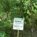 오산대학 앞 이미지