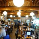 베스트 애견 | 근처 애견동반가능 식당 하남 맛집 베스트10