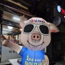 박훈남돼지 이미지