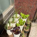 태릉시장 이미지