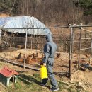 대덕축산 이미지