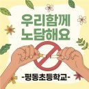 평동초등학교 - 광산구 | 노담 캠페인 선물 추천 | 초등학교 흡연예방 교육 답례품 후기 (평동초)