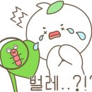 리틀버터 이미지