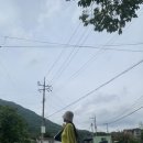 노디목민박 이미지