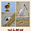 해양생태전시관 이미지