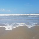 태안힐링캠프 이미지