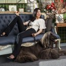 더블에스스튜디오 이미지