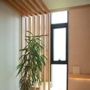 제주구도 | 제주 숙소 구도에서 보았던 KT WiFi 7D 한정판 스킨 공유기