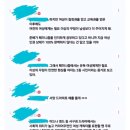 페미니즘에서 말하는 여성과 남성의 이성애에 의한 이데올로기 feat데이트 비용 더치페이 비판 이미지