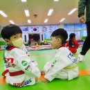 가촌코리아태권도장 이미지