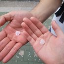 [별별클럽] 7080 그림책수다 | 설레는 일 가득했던 2024 봄🌸🌳