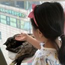 식껍 대장점 | [미아] 아이도 어른도 반한 고양이카페 커피타는 고양이