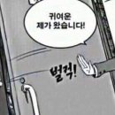 하우하 이미지
