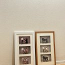 민호정민스튜디오 가족사진 내돈내산 후기