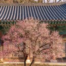 예랑정원 이미지