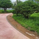 전라남도립도서관 이미지