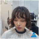 다시봄날 헤어 네이버블로그