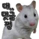 에밀리펫 이미지