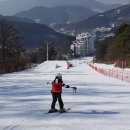 서울숲 인라인강습.스키 이미지
